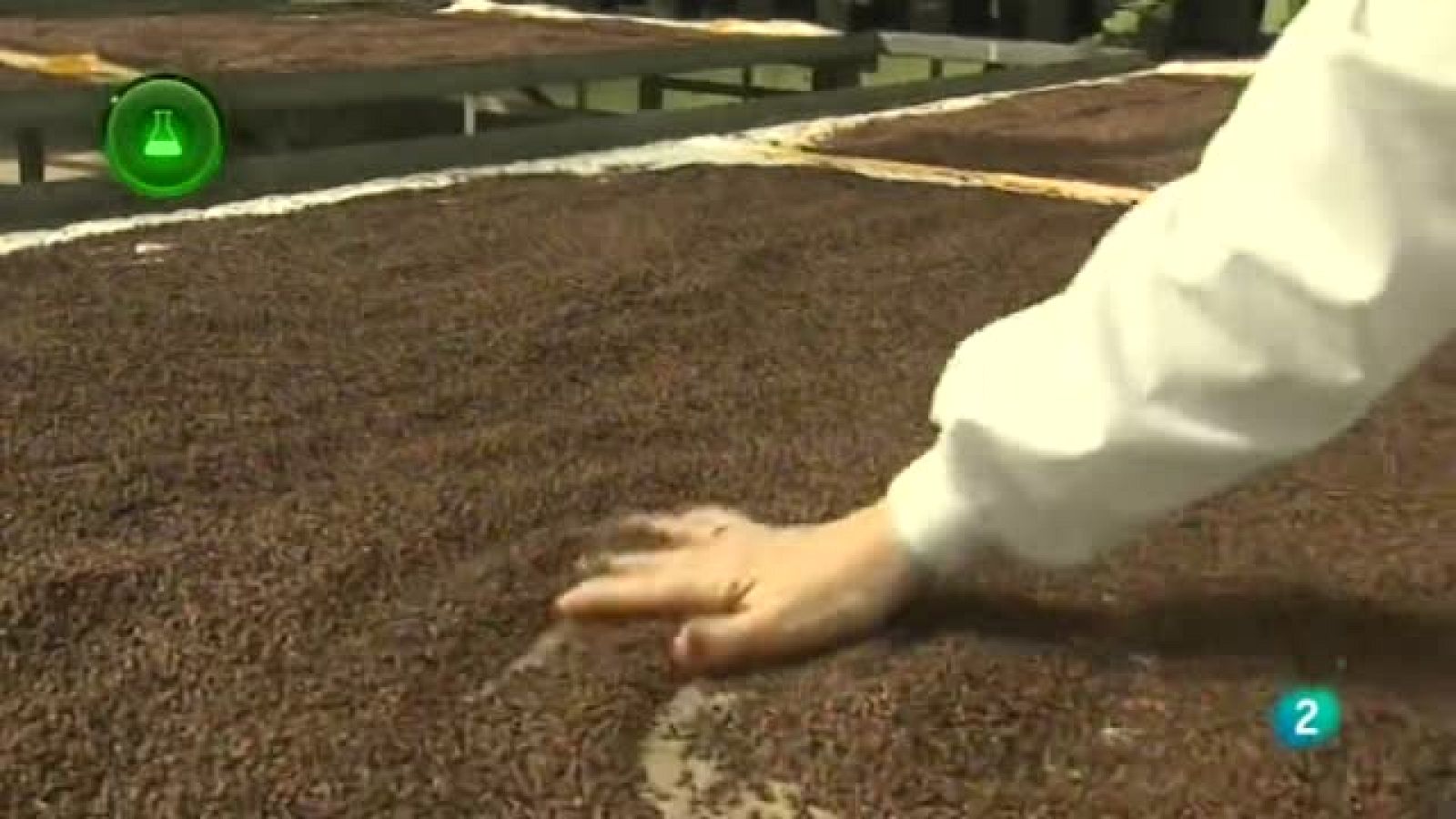 Agrosfera - Laboratorio de ideas - Nuevas Variedades