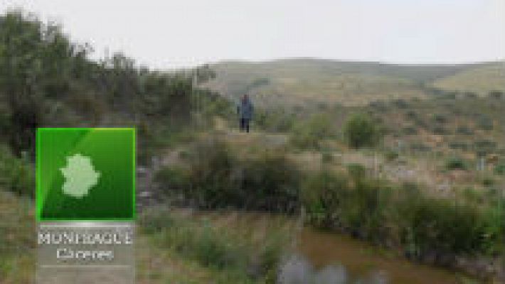 Aquí la Tierra - Vida en 10 metros cuadrados