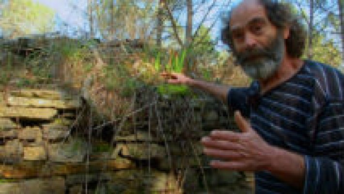 El señor de los bosques, cambios en el paisaje