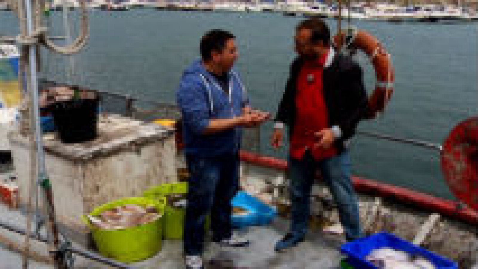 Subasta de pescado al público