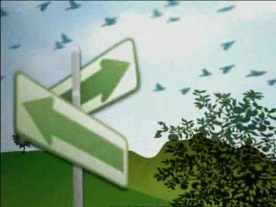 Actívate - El reto del bienestar - 06/02/09