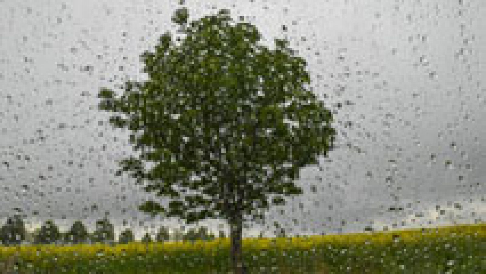 El tiempo: Las lluvias y tormentas tendrán en riesgo a Cáceres, Salamanca y Ávila y afectarán a gran parte de la mitad oeste | RTVE Play