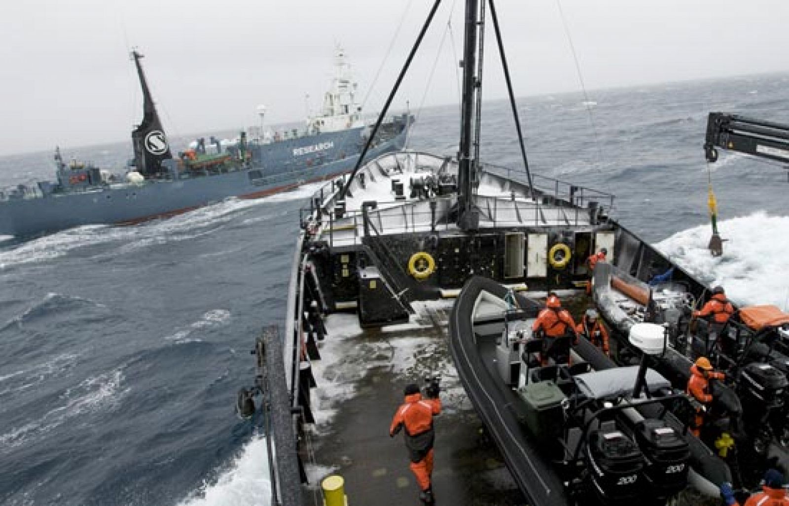 Un barco ecologista embiste a un ballenero japonés en la Antártida
