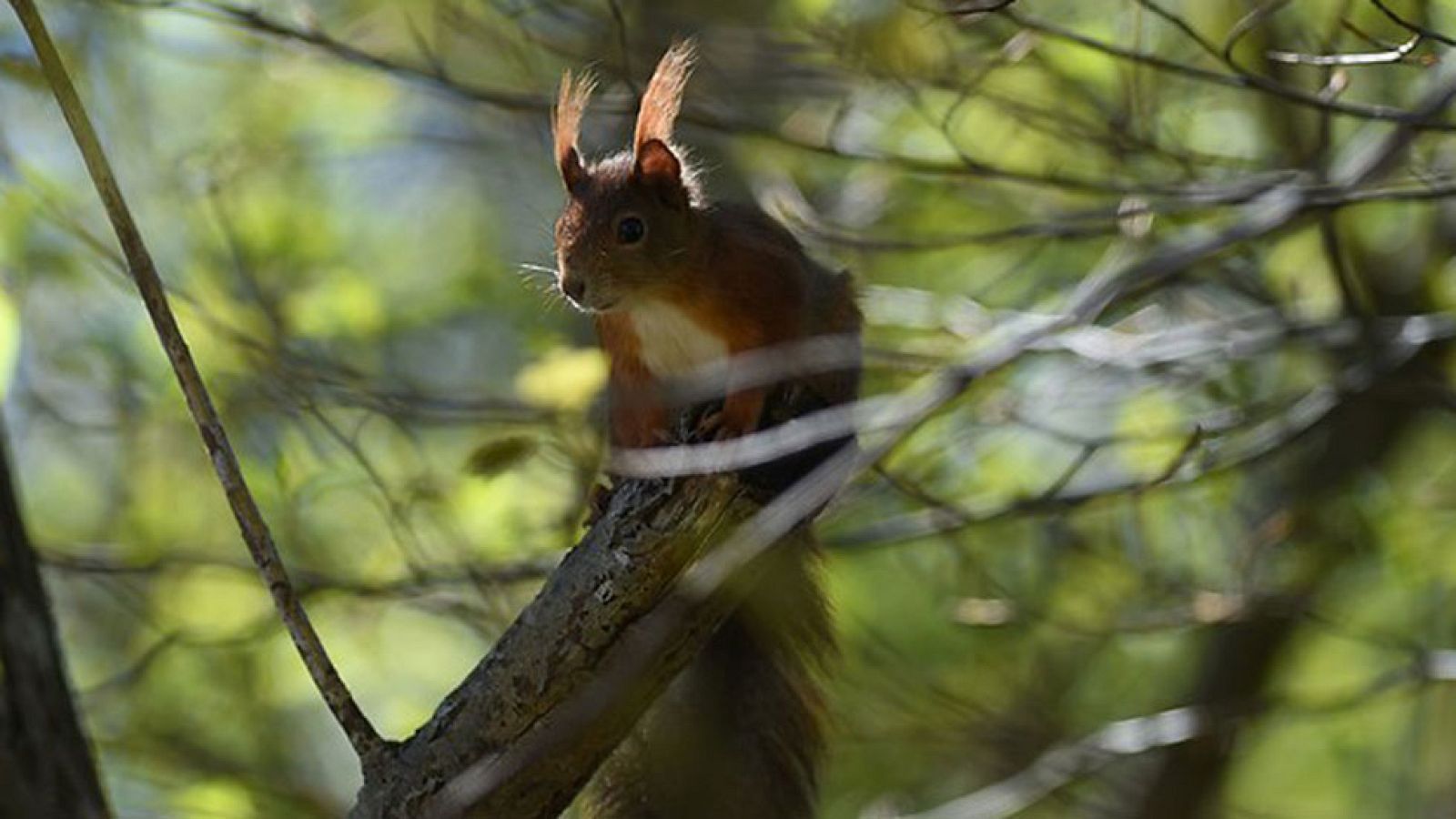 El Tiempo en la Comunidad de Madrid - 10/05/17