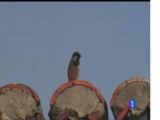 Panorama Regional - El tiempo en Asturias - 10/05/17