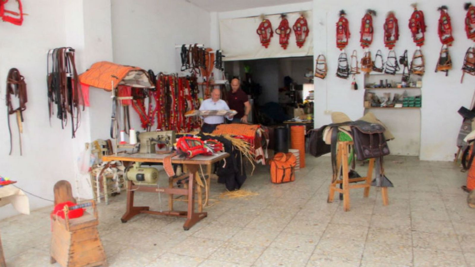 La tarea del albardonero