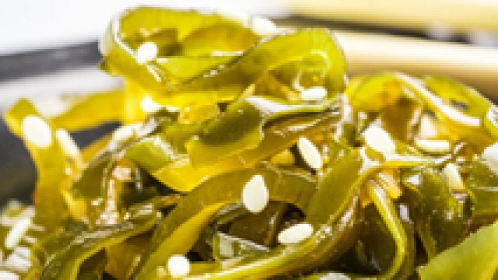 Telediario 1 - Algas, el alimento del futuro