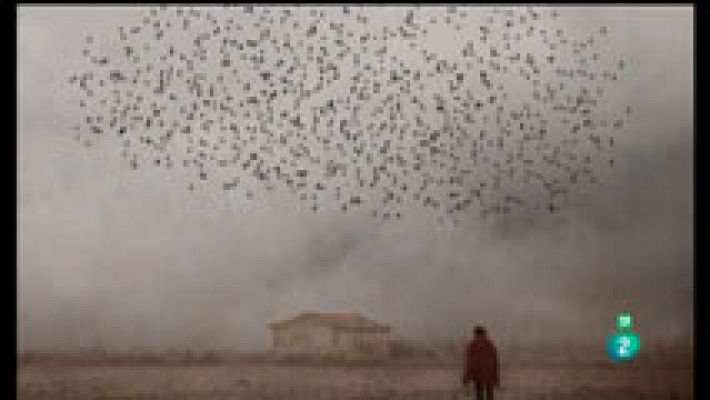 La aventura del Saber - Boek Visual: Rosa Basurto