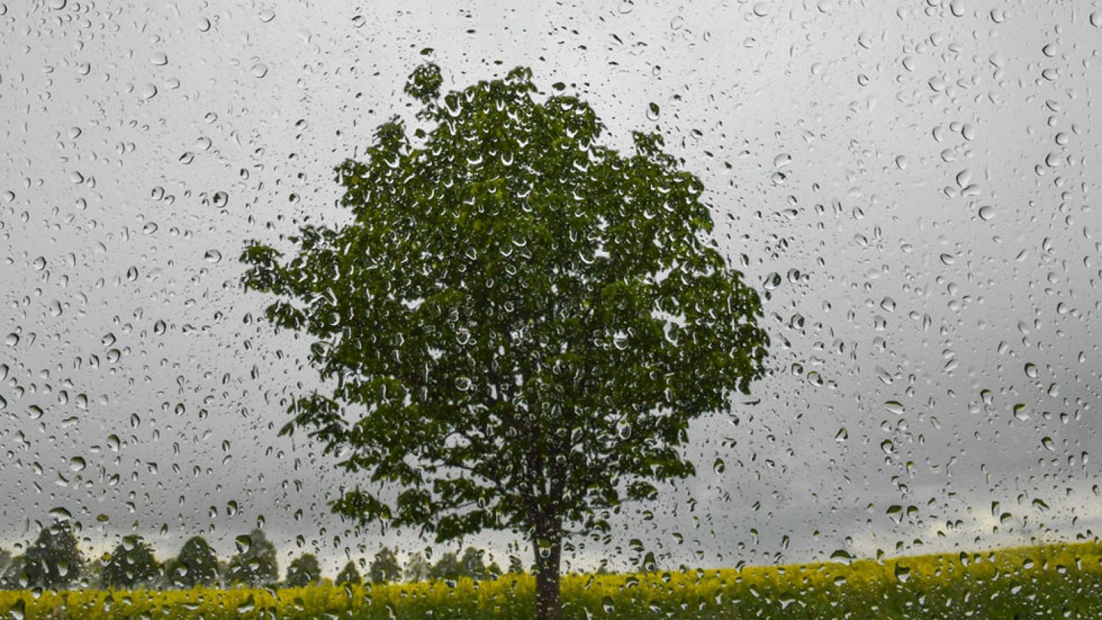 El Tiempo en la Comunidad de Madrid - 11/05/17