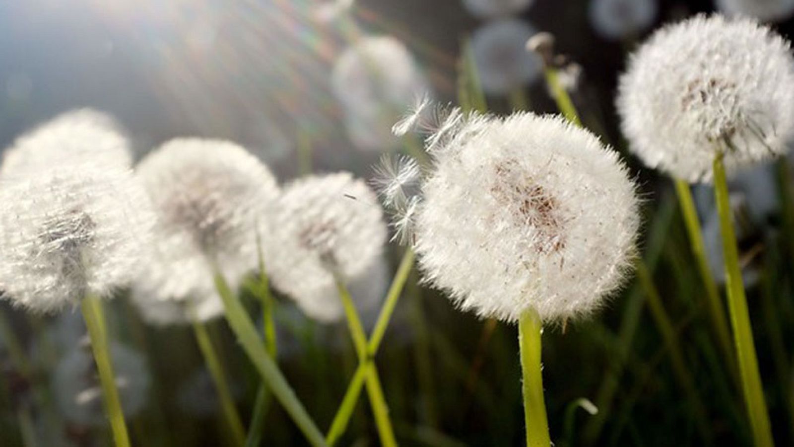 El Tiempo en la Comunidad de Madrid - 12/05/17
