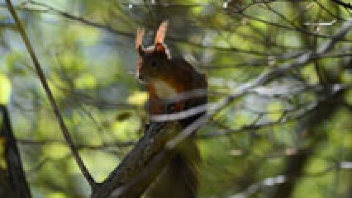 El tiempo - Cielo nuboso y lluvias en el norte