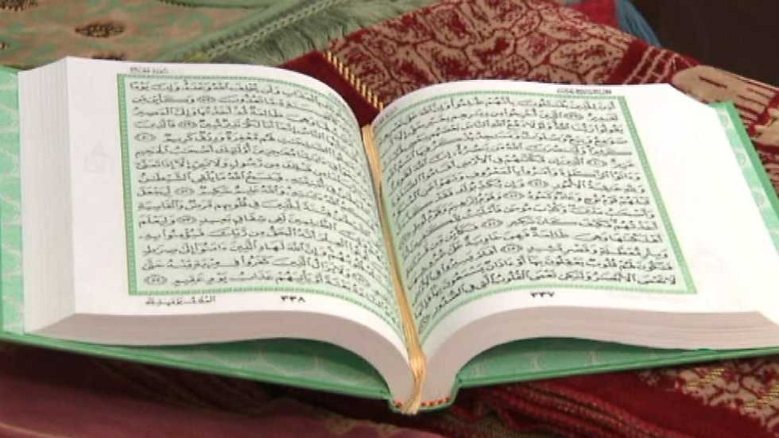 Medina en TVE - El origen del radicalismo - ver ahora 