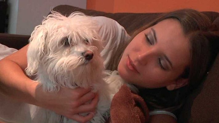 Más que perros y gatos - Capítulo 9