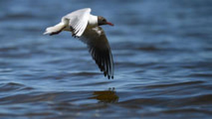 El tiempo - Cielo nuboso y lluvias en el noreste