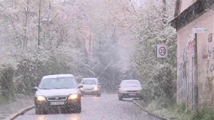 Teleplaneta - Teleplaneta - 15/05/2017