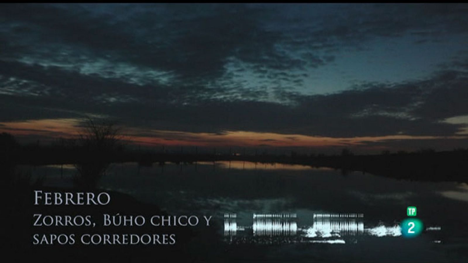 La Aventura del Saber. TVE. El recolector de sonidos