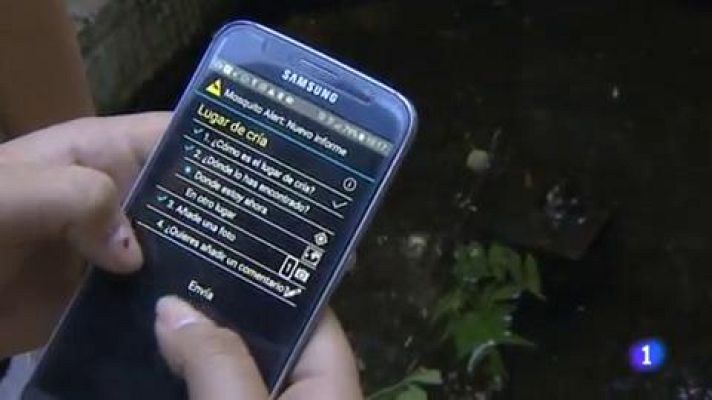 L'Informatiu - Caçar el mosquit tigre des de l'escola