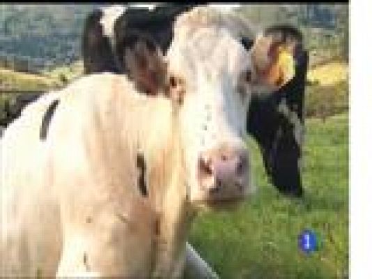 Panorama Regional - Panorama Regional 2 - 16/05/17