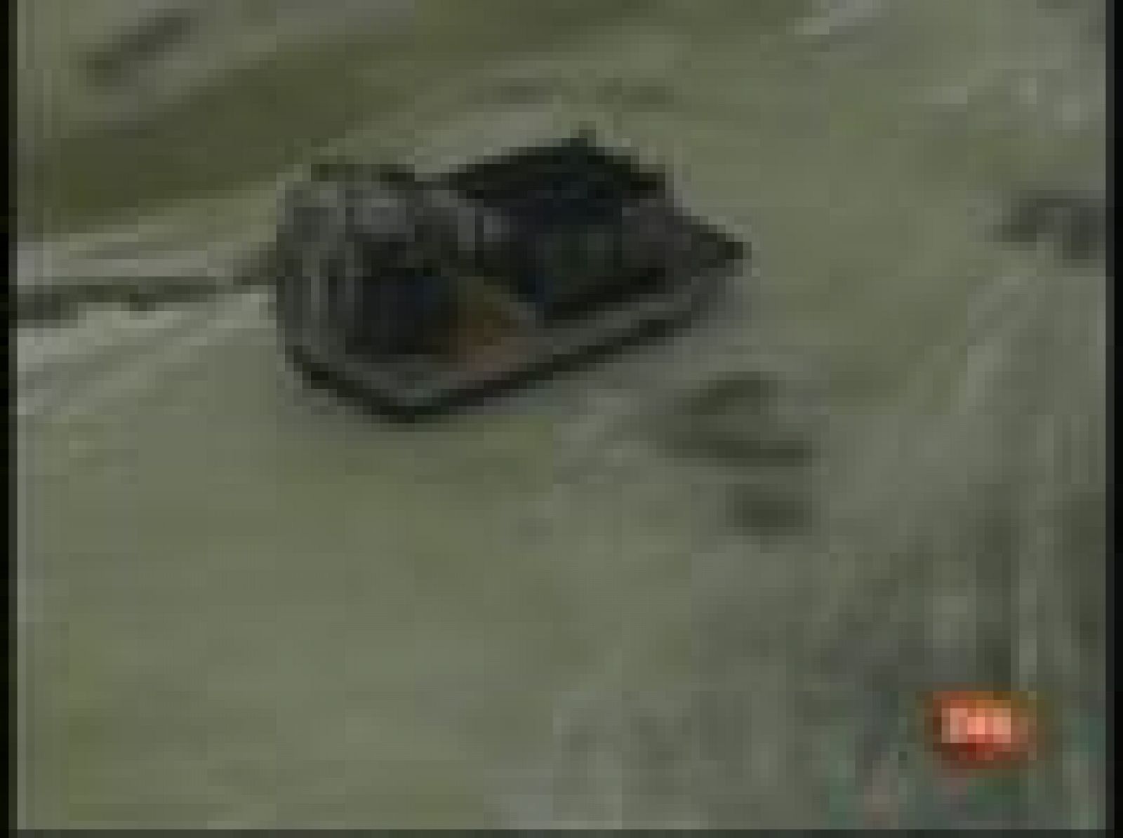 Atrapados en el hielo | Ver