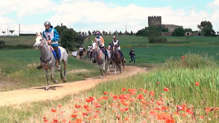 Evasión - T5 - Raid Tordera 2017
