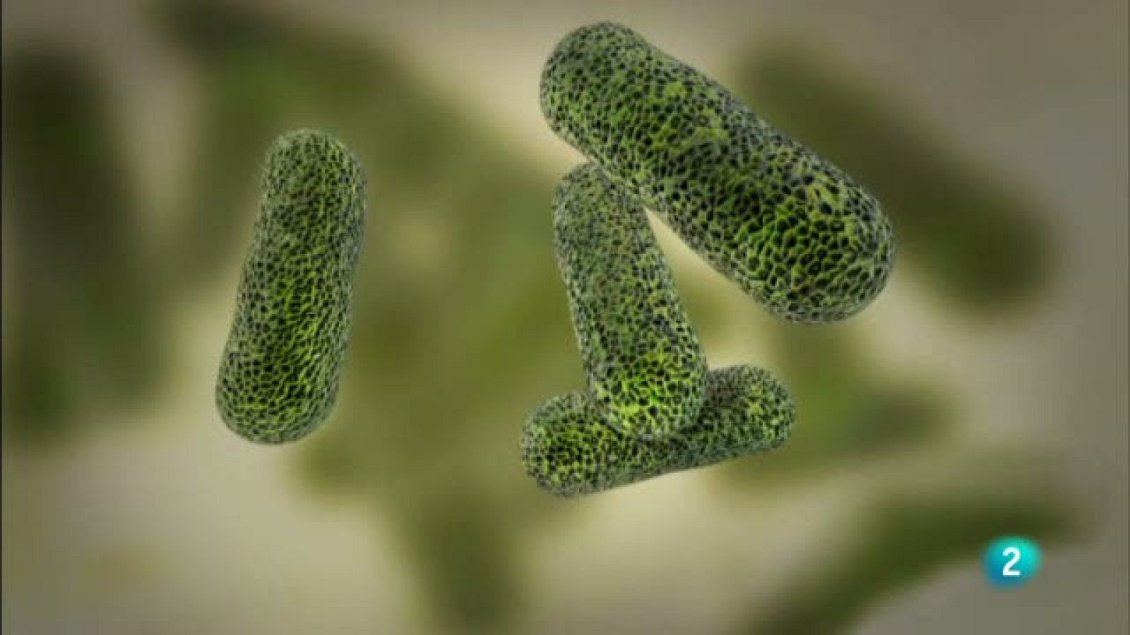 La noche temática - Así empieza 'Un mundo sin micróbios'