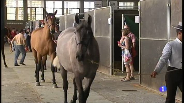  - Festival Equisur en Jerez de la Frontera, Cádiz
