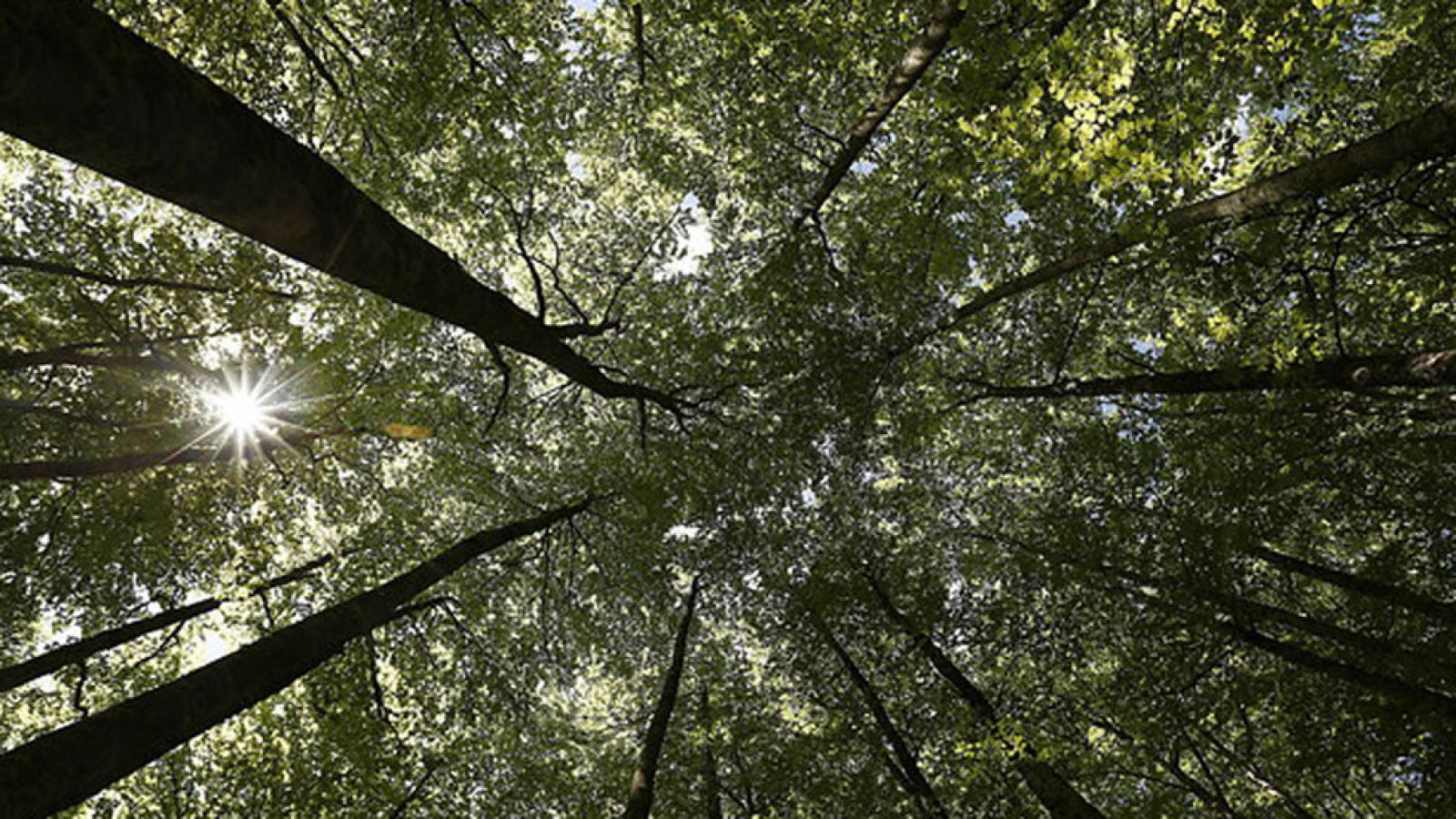 Un frente frío atlántico dejará precipitaciones en el noroeste