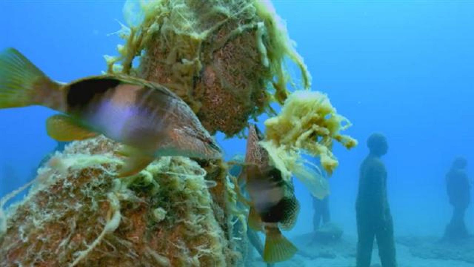 DÍA DE LOS MUSEOS | Ver