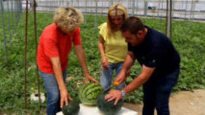 Aquí la Tierra - Primera sandía de temporada