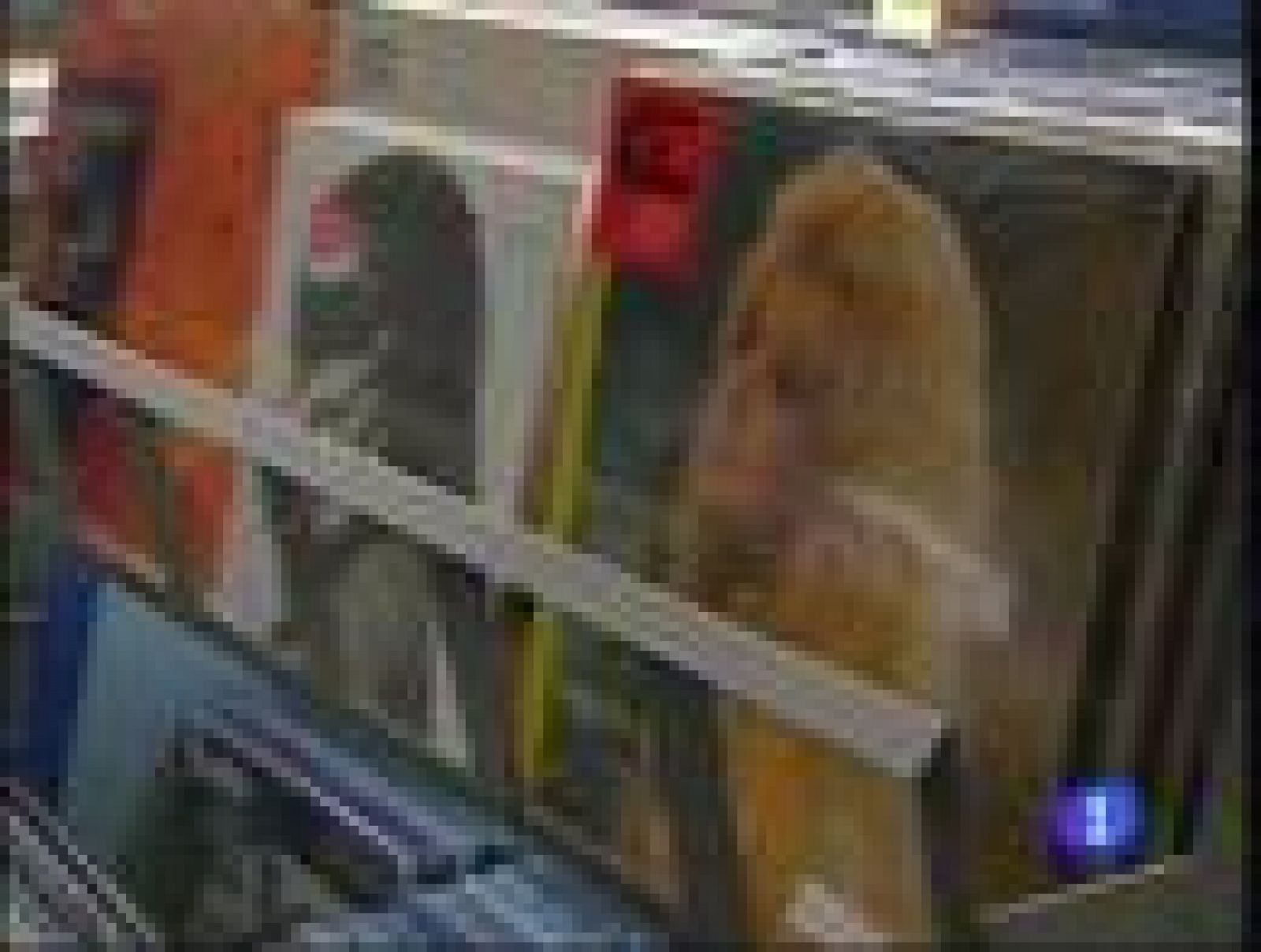 El vinilo resucita | Ver