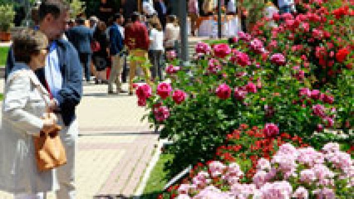 Informativo de Madrid - Informativo de Madrid 2 - 19/05/17