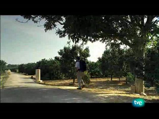 Nuestros caminos a Santiago - Camino de levante 1