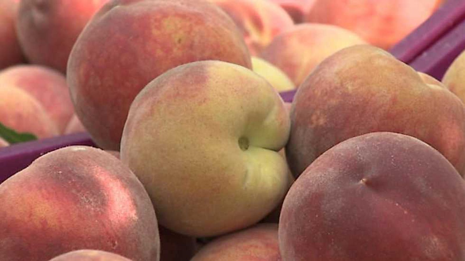 Agrosfera - 20/05/17 - ver ahora