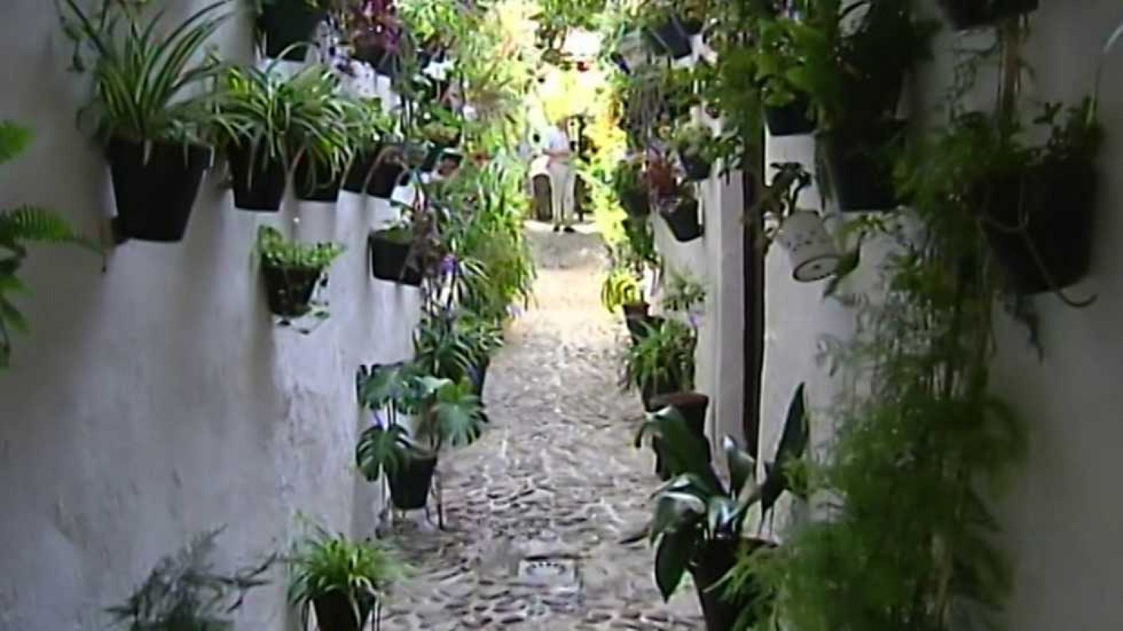 España en comunidad - 20/05/17  - ver ahora