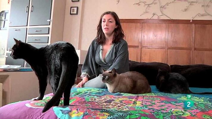 Más que perros y gatos - Capítulo 10