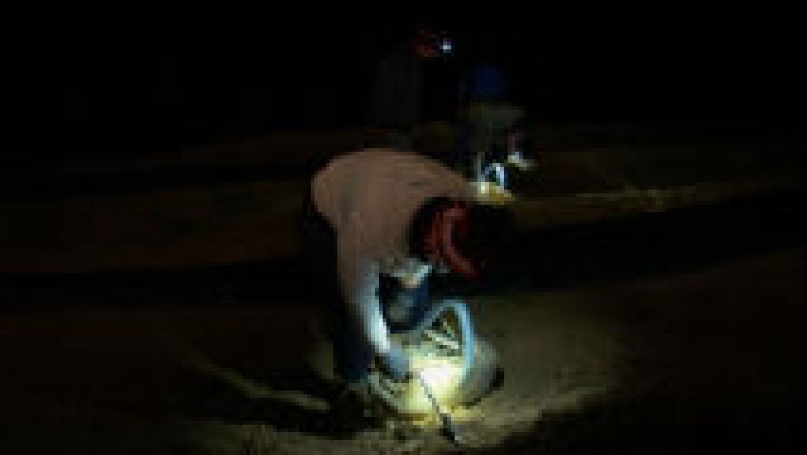 Recogida de espárragos a la luz de la luna