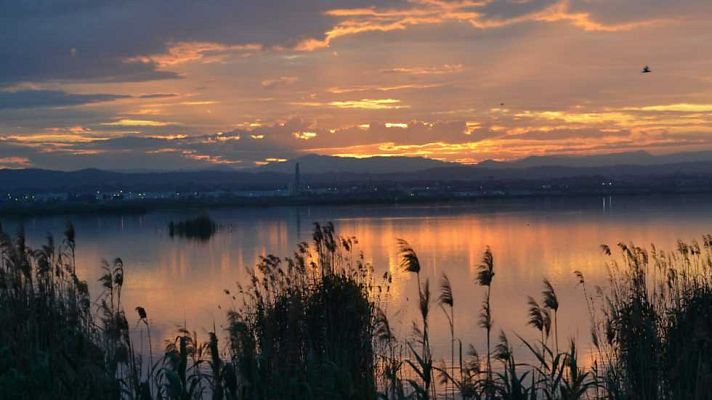 L'informatiu - Comunitat Valenciana - L'Informatiu - Comunitat Valenciana 2 - 22/05/17