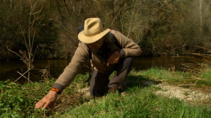 Aquí la Tierra - Aquí la tierra - La familia de la menta