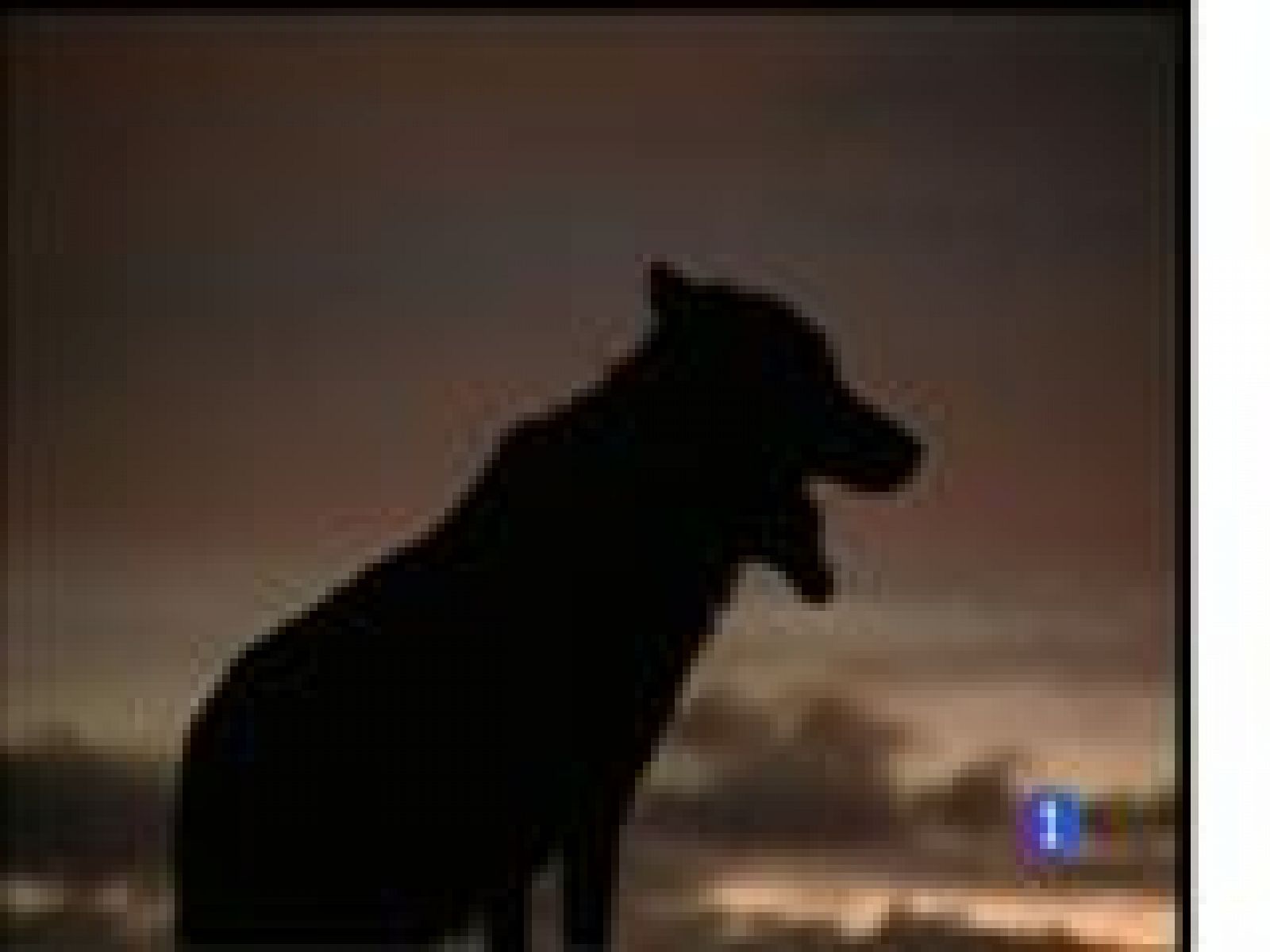 Asturias en 2' - 23/05/17 | Ver