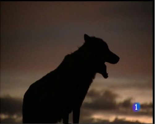 Panorama Regional - Panorama Regional - 23/05/17