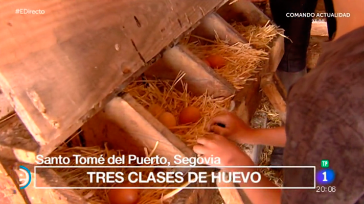 España Directo - Visitamos una granja casera ecológica en Segovia