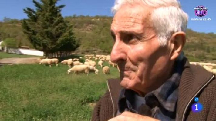 Comando Actualidad - Huesca, puente de montaña