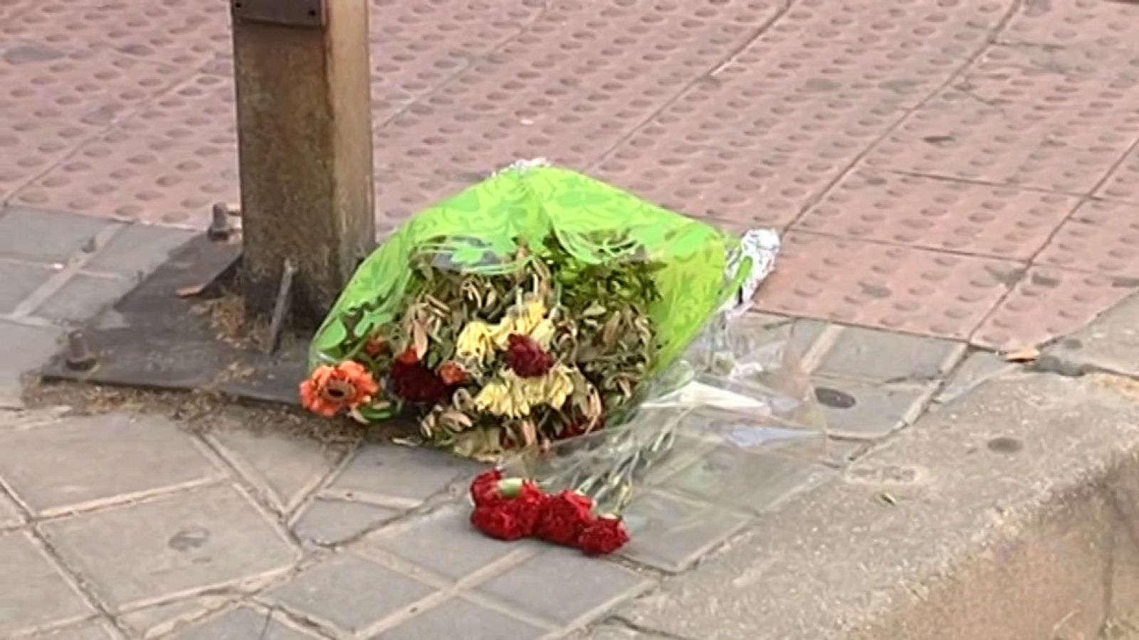 Prisión sin fianza para el conductor de 18 años acusado de matar a un hombre de 81 en un paso de peatones