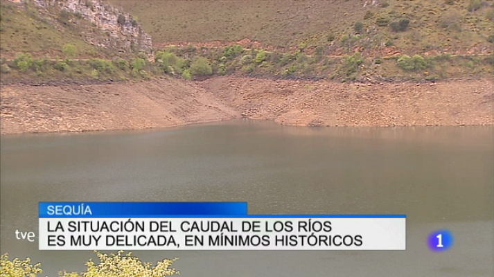 Informativo Telerioja - Informativo Telerioja - 25/05/17