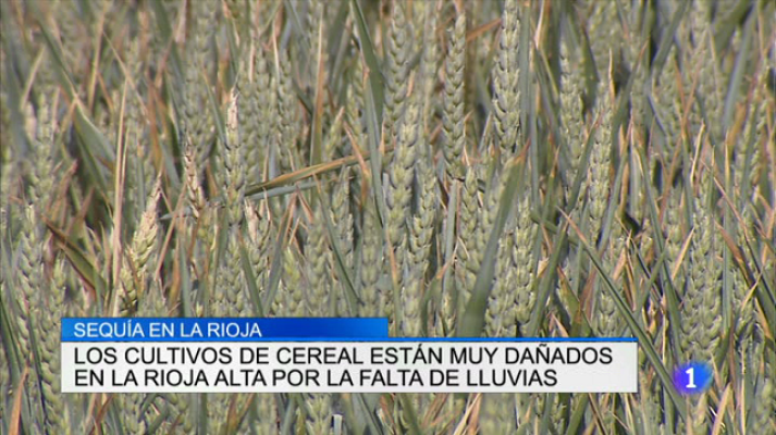 Informativo Telerioja - Telerioja en 2' - 26/05/17