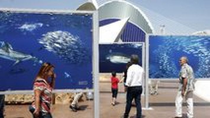 L'informatiu - Comunitat Valenciana - L'Informatiu - Comunitat Valenciana 2 - 26/05/17 - ver ahora