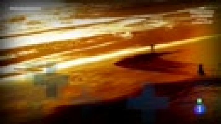 El acabose - El veterinario de especies peligrosas