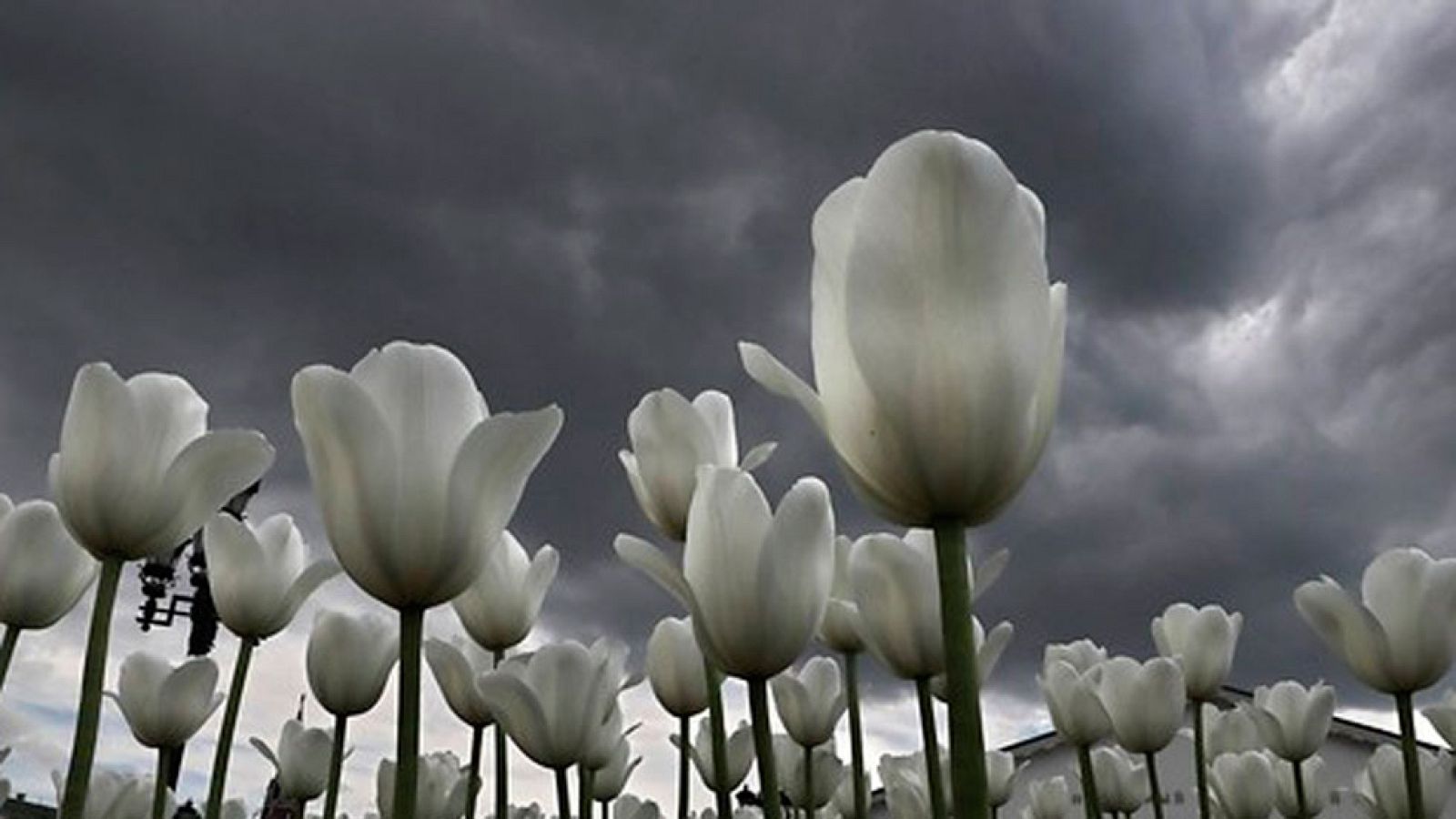 Cielos muy nubosos en el cuadrante noroccidental de la península