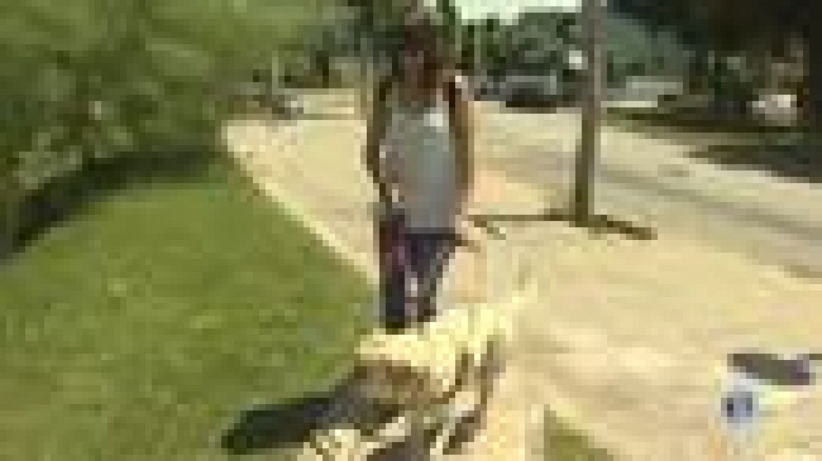 Us ensenyem el postgrau d'instrucció d'unitats canines de la UAB