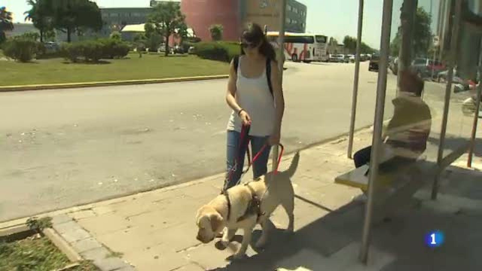 Us ensenyem el postgrau d'instrucció d'unitats canines de la UAB